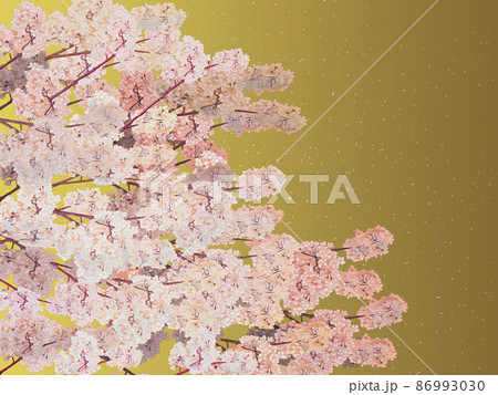 桜枝右ゴールドバック_横 86993030