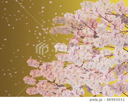 桜花吹雪枝左ゴールドバック_横 86993031