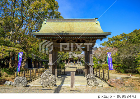 美浜町 野間大坊(大御堂寺)山門 美浜町 野間大坊(大御堂寺)山門 86993443