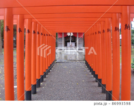 水前寺公園の稲荷神社 水前寺公園の稲荷神社 86993598