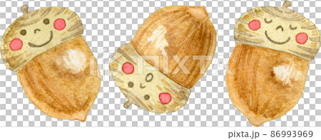 Illustration of three acorn brothers lined up (with face / character) 86993969