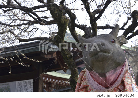 なで牛 北野天満宮 なで牛 北野天満宮 86994034