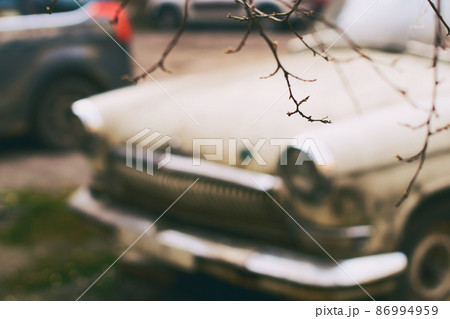 Tiny leafless early spring brunch on old vintage car background 86994959