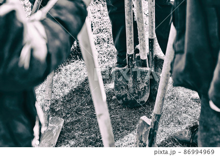 Team of workers ready to start planting trees with their shovels, teamwork concept Team of workers ready to start planting trees with their shovels, teamwork concept 86994969