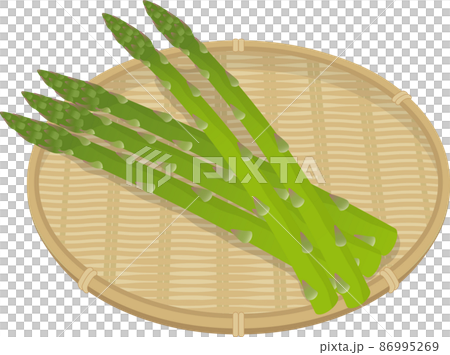 蘆筍配竹濾鍋 蘆筍配竹濾鍋 86995269