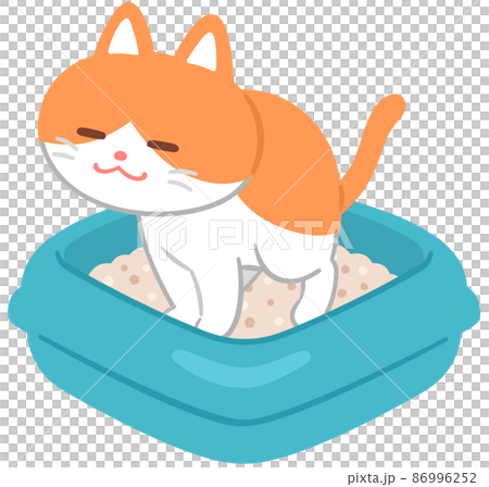 A cat that needs to be in the toilet 86996252