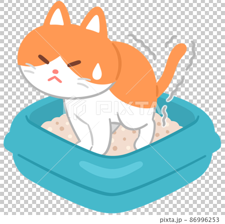 Cats go to the toilet 86996253