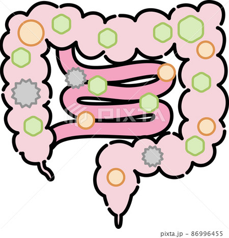 腸内環境のイラスト 腸内環境のイラスト 86996455