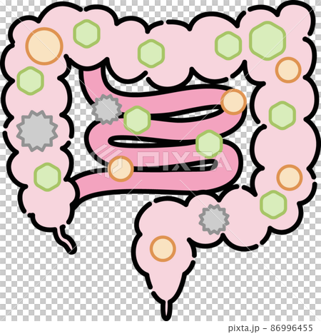 腸内環境のイラスト 腸内環境のイラスト 86996455