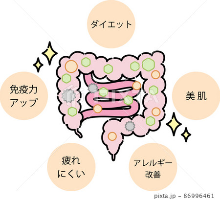 腸内環境のイラスト 86996461