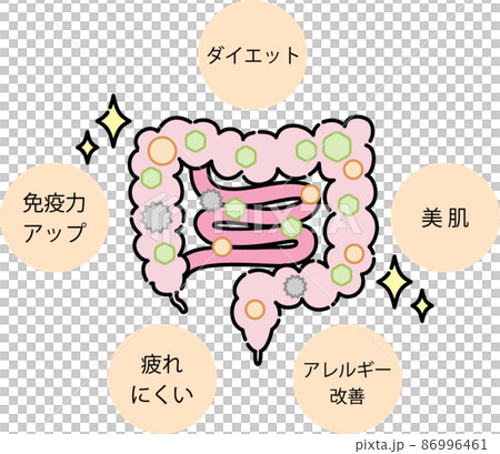腸内環境のイラスト 86996461