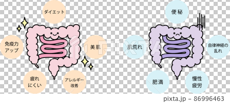 腸内環境のイラスト 86996463
