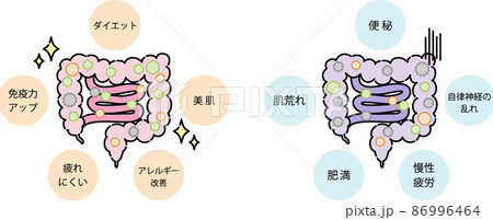 腸内環境のイラスト 86996464