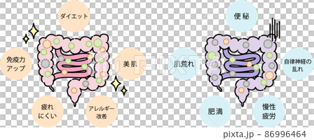 腸内環境のイラスト 86996464