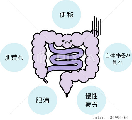 腸内環境のイラスト 86996466