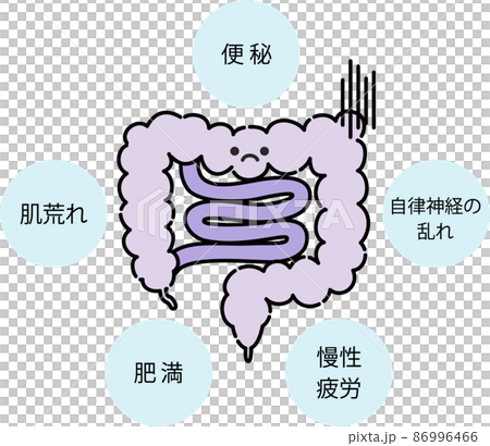 腸内環境のイラスト 86996466