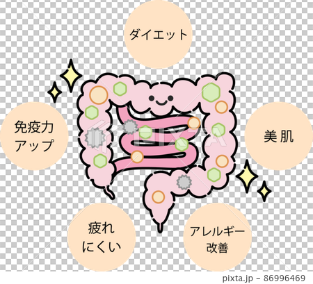 Illustration of intestinal environment Illustration of intestinal environment 86996469