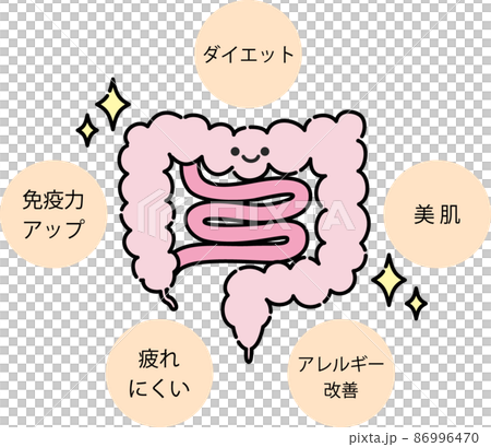 腸内環境のイラスト 86996470