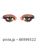 Vector hand-drawn girls sexy luxurious eyes with perfectly shaped and full lashes. Good for design business visit card, cartoon character. Perfect salon look. 86996522