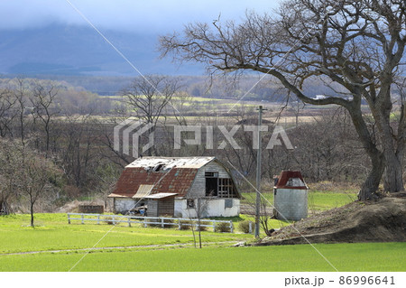 北海道 道南地方 牧場のある風景 北海道 道南地方 牧場のある風景 86996641