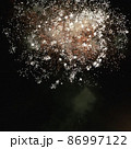 花火 86997122