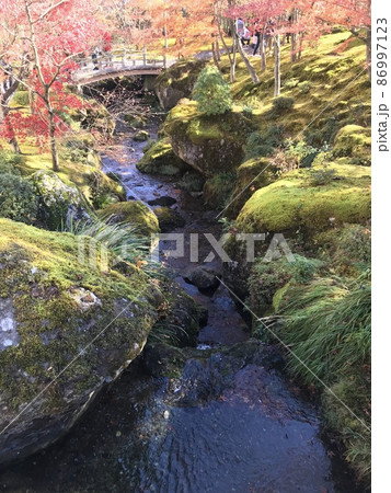 川辺と紅葉 86997123