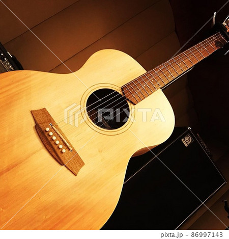 coleclark アコースティックギター 86997143