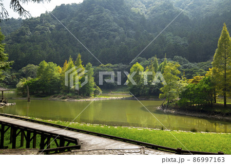 草 芝生 芝 86997163