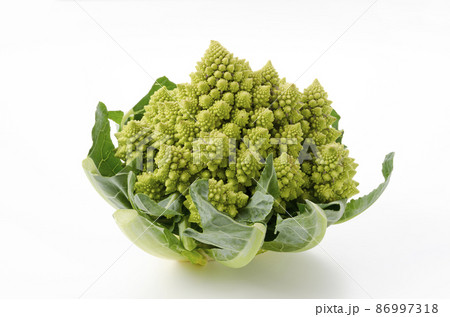 ロマネスコ 86997318