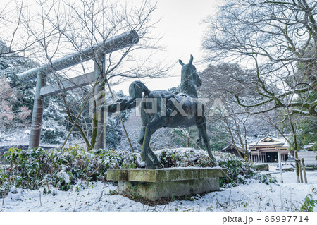 雪の岐阜護國神社〈岐阜県岐阜市〉 雪の岐阜護國神社〈岐阜県岐阜市〉 86997714
