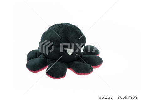 Angry black octopus cute doll isolated on the white background. Angry black octopus cute doll isolated on the white background. 86997808