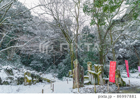 雪の岐阜護國神社〈岐阜県岐阜市〉 86997881