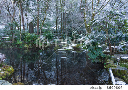雪の岐阜公園〈岐阜県岐阜市〉 86998064