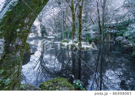雪の岐阜公園〈岐阜県岐阜市〉 雪の岐阜公園〈岐阜県岐阜市〉 86998065