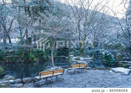 雪の岐阜公園〈岐阜県岐阜市〉 雪の岐阜公園〈岐阜県岐阜市〉 86998068