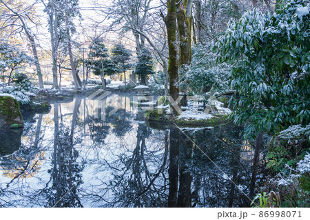 雪の岐阜公園〈岐阜県岐阜市〉 雪の岐阜公園〈岐阜県岐阜市〉 86998071