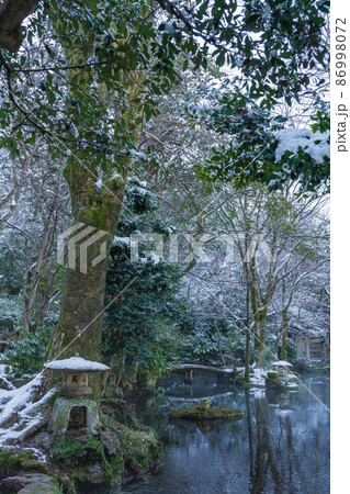 雪の岐阜公園〈岐阜県岐阜市〉 86998072
