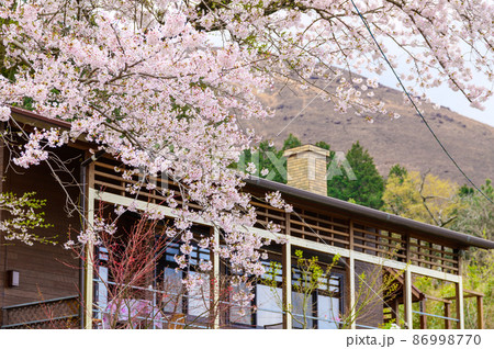 桜咲く季節 田舎のレストランと桜の花風景 桜咲く季節 田舎のレストランと桜の花風景 86998770