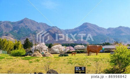 桜の花咲く季節 南阿蘇村から阿蘇の山並み風景 道の駅 あそ望の郷くぎの 桜の花咲く季節 南阿蘇村から阿蘇の山並み風景 道の駅 あそ望の郷くぎの 86998842