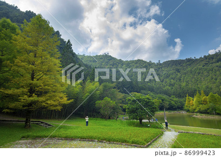 草 芝生 芝 86999423