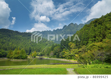草 芝生 芝 86999425