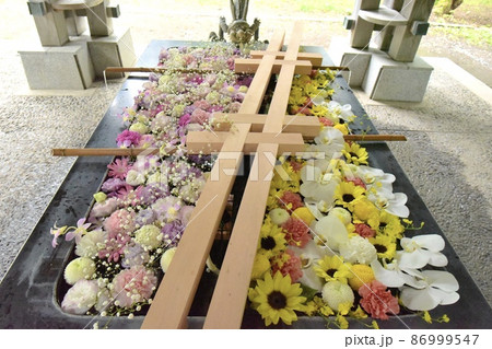 帯広神社の花手水 86999547