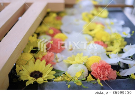 帯広神社の花手水 86999550