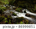 苔蒸す渓流 86999851