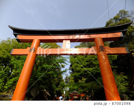 Sunny view of the famous Fushimi Inari-taisha 87001098
