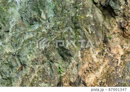Green rocky cliff texture, natural gray stone wall 87001347