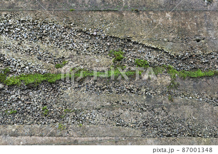 Dark gray concrete wall with moss, abstract background 87001348