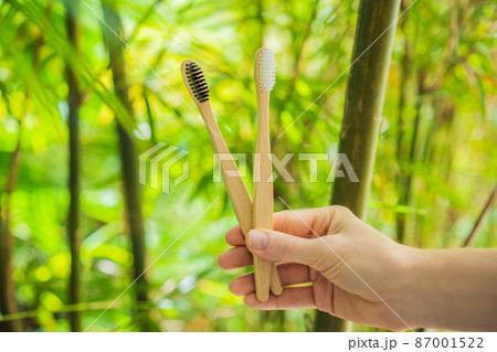 Bamboo toothbrush on a background of green growing bamboo 87001522