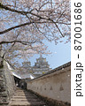 桜舞う姫路城 87001686