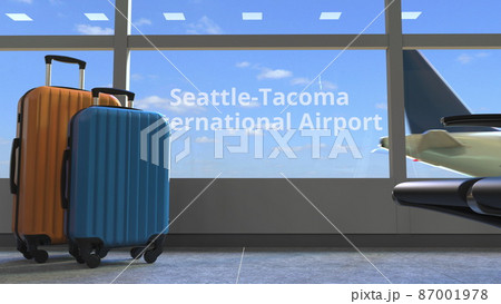 Commercial airplane reveals Seattle-Tacoma International Airport text in the window of terminal. 3d rendering 87001978